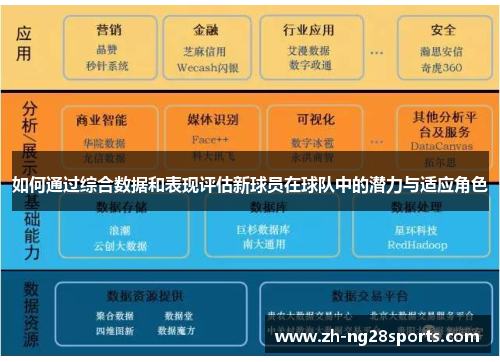 如何通过综合数据和表现评估新球员在球队中的潜力与适应角色