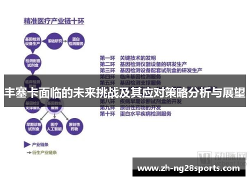 丰塞卡面临的未来挑战及其应对策略分析与展望